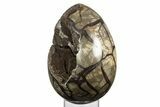 Septarian Dragon Egg Geode ( / lbs!) - Black Crystals #329503-2
